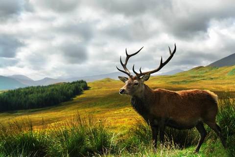 Spirit Of Outlander - 16 Day Tour