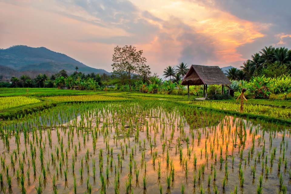 Spiritual China and Laos - Europamundo - China - Image 9