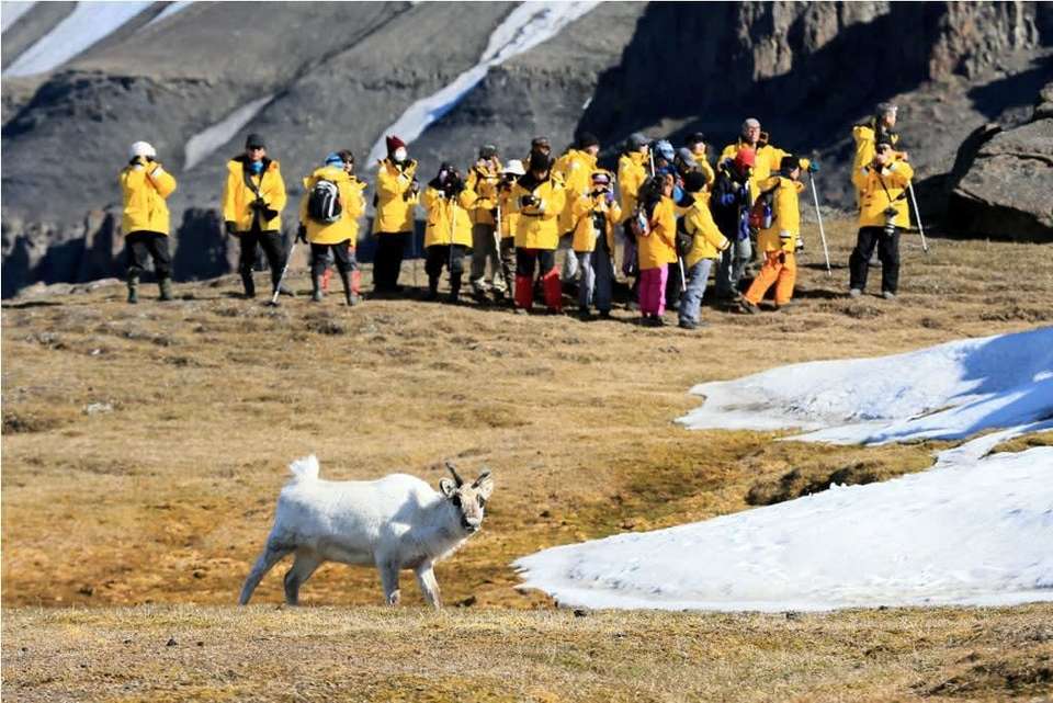 Spitsbergen Circumnavigation: A Rite of Passage - Quark Expeditions - Finland - Image 2