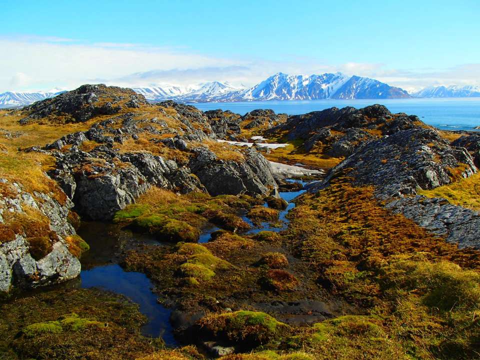 Spitsbergen Circumnavigation: A Rite of Passage - Quark Expeditions - Finland - Image 3