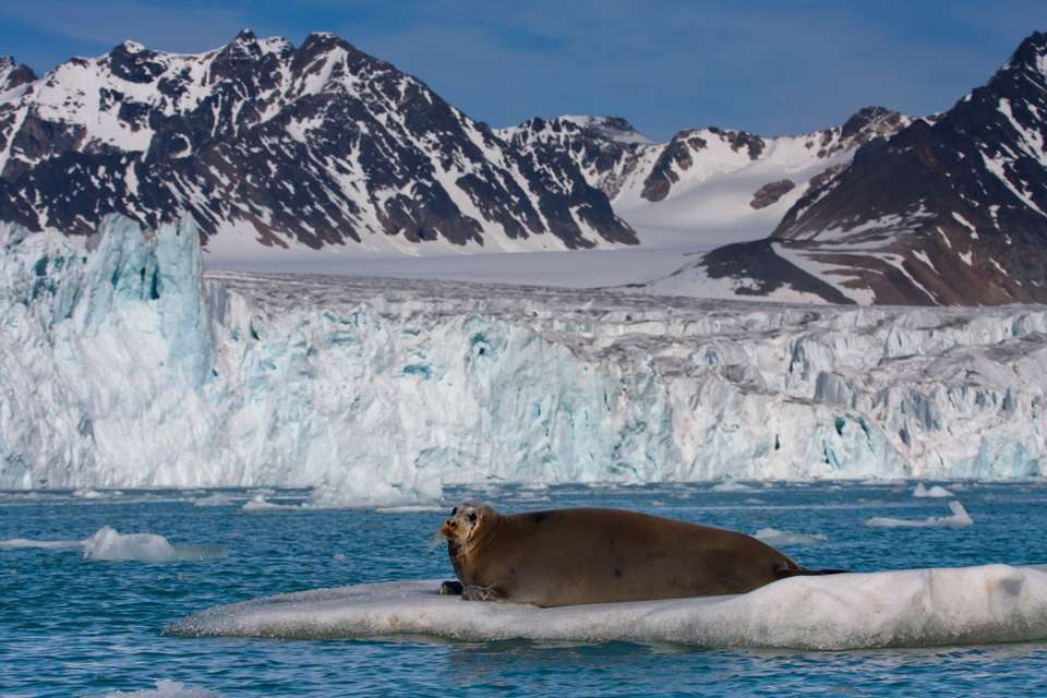 Spitsbergen Circumnavigation: A Rite of Passage - Exodus Adventure Travels - Finland - Image 16