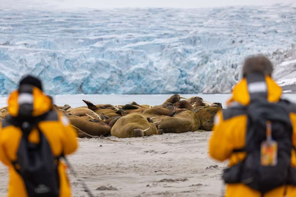Spitsbergen Circumnavigation: A Rite of Passage - Exodus Adventure Travels - Finland - Image 2