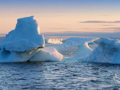 Spitsbergen, Greenland And Iceland - M/v Sylvia Earle