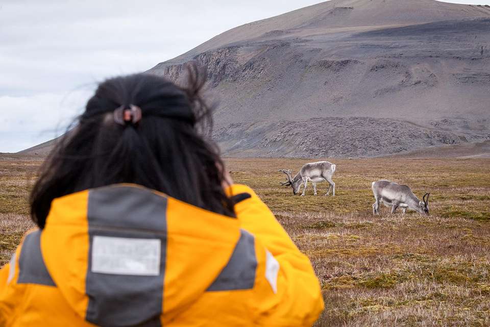 Spitsbergen Highlights: Journey into the Arctic Wilderness - undefined - Image 2