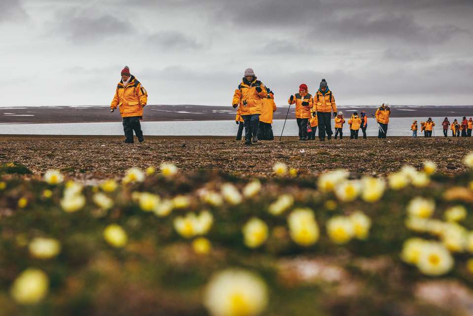 Spitsbergen Highlights: Journey into the Arctic Wilderness - undefined - Image 3