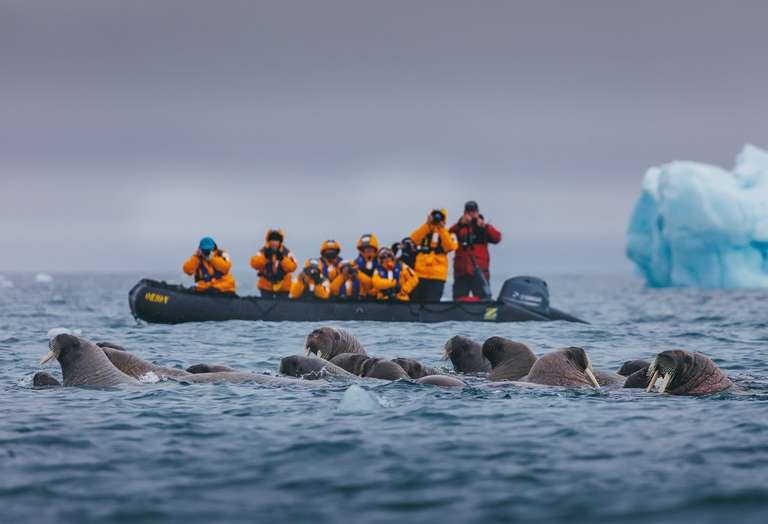 Spitsbergen Highlights: Wildlife Capital of the Arctic - June 2027