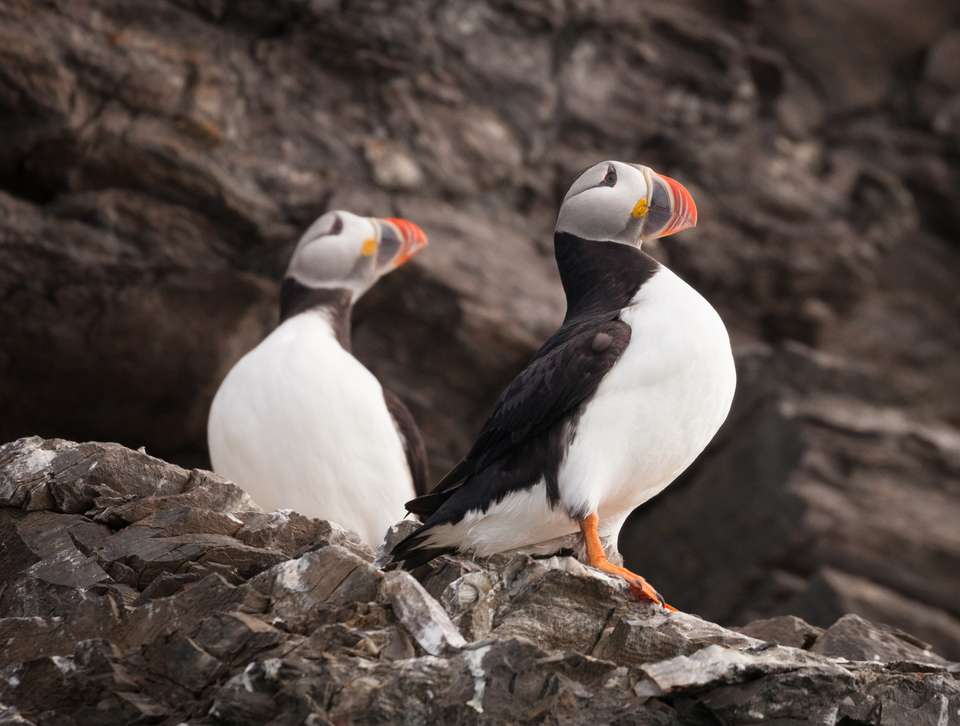 Spitsbergen Highlights: Wildlife Capital of the Arctic - Exodus Adventure Travels - Finland - Image 4