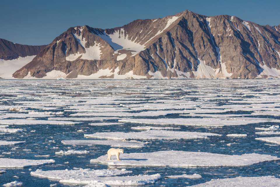 Spitsbergen Highlights: Wildlife Capital of the Arctic - Exodus Adventure Travels - Finland - Image 7