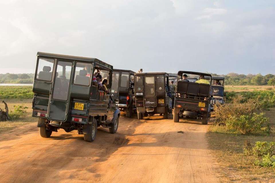 Splendid Sri Lanka, Private Tour - Destination Services - Sri Lanka - Image 5