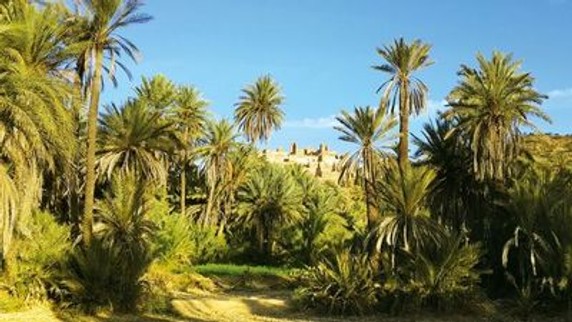 Image 5 of 7