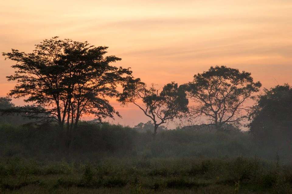 Splendors Of Sri Lanka, Private Tour - Destination Services - Sri Lanka - Image 6