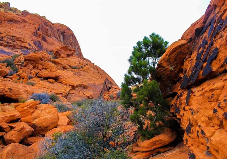 Splendors of the American West - Indus Travels - USA - Image 3