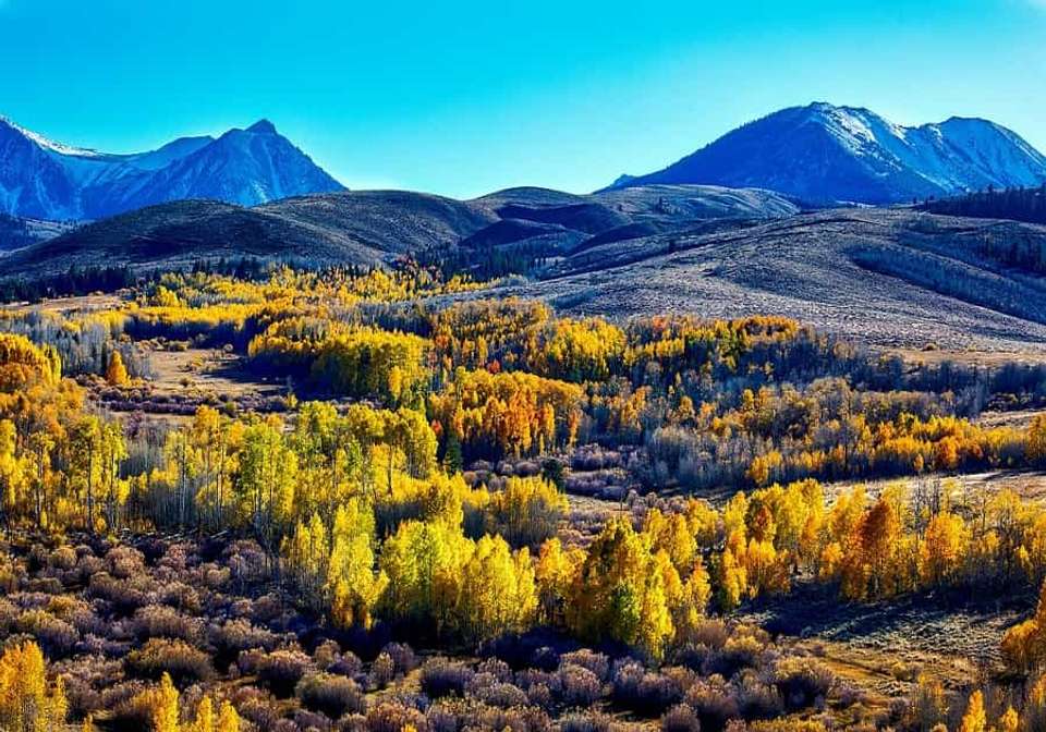 Splendors of the American West - Indus Travels - USA - Image 4
