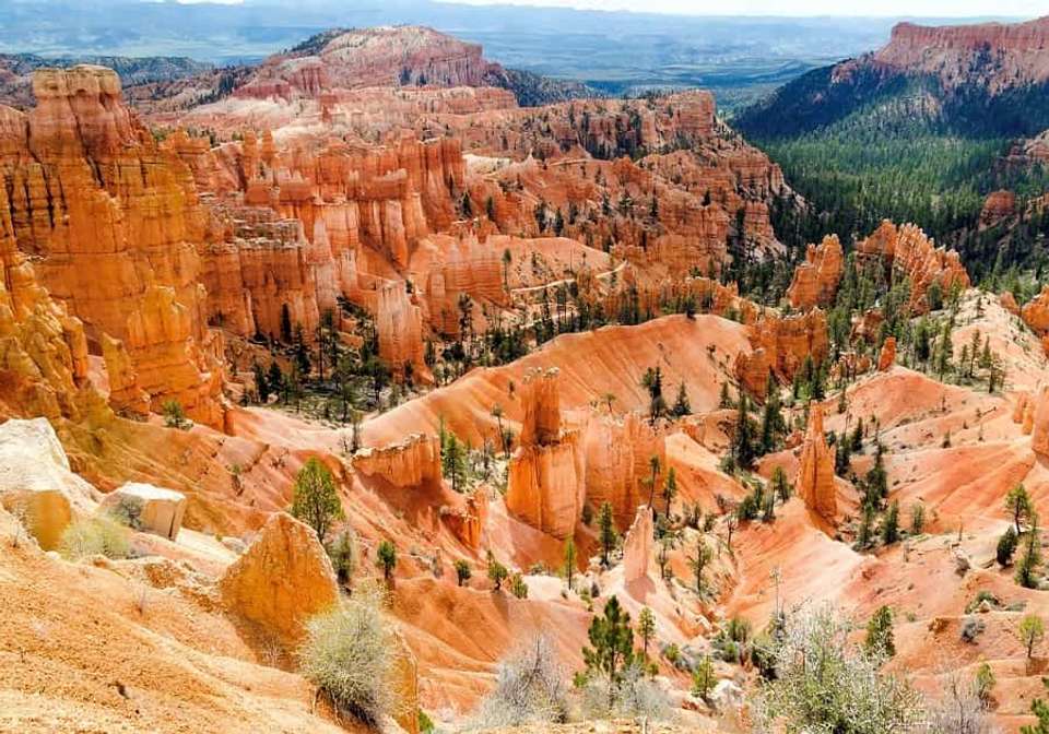 Splendors of the American West - Indus Travels - USA - Image 6