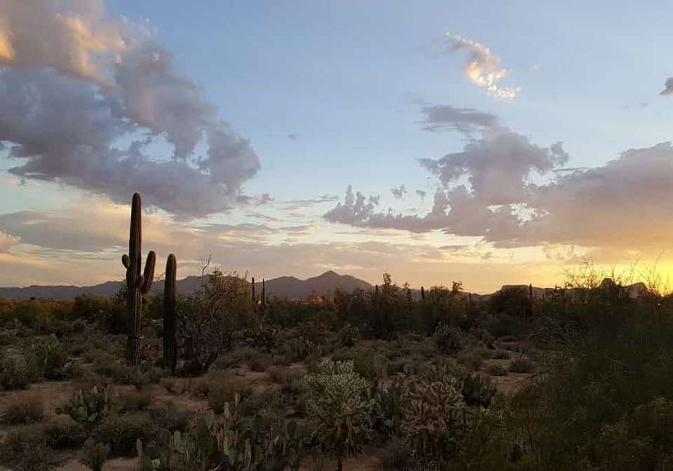 Splendors of the American West - Indus Travels - USA - Image 7