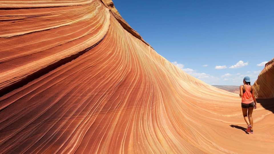 Splendors of the American West - Indus Travels - USA - Image 13