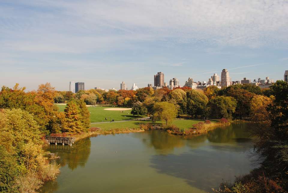 Spotlight on New York City - Collette Tours - USA - Image 3