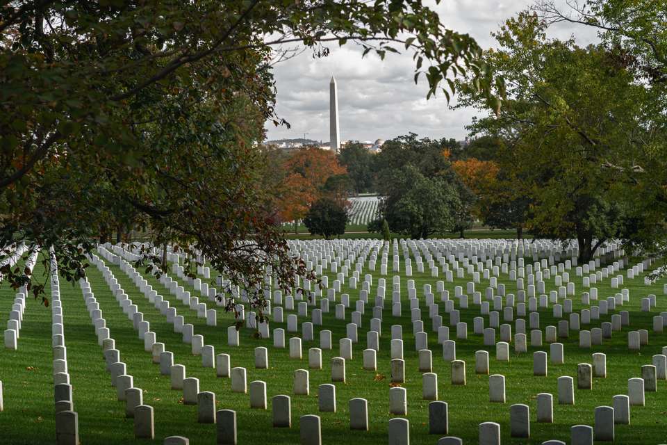 Spotlight on Washington, D.C. Exploring America's Capital - Collette Tours - USA - Image 1