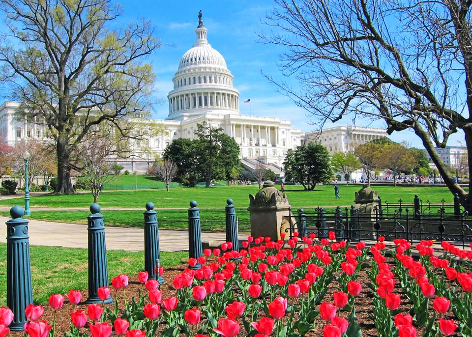 Spotlight on Washington, D.C. Exploring America's Capital - Collette Tours - USA - Image 2
