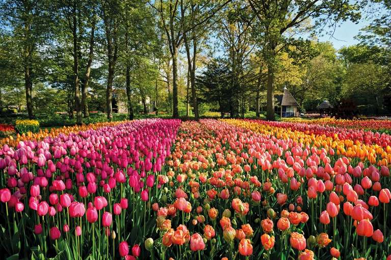 Springtime in the Alps & Chelsea Flower Show trip - alternative tour available