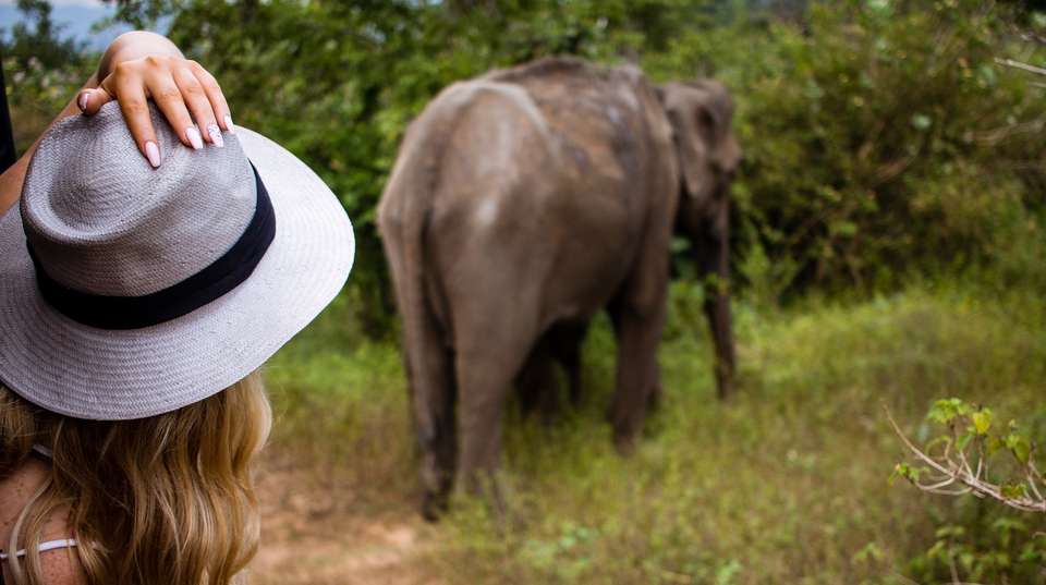 Sri Lanka - 12 Day Adventure Tour - One Life Adventures Ltd - Sri Lanka - Image 3