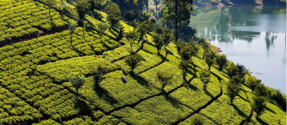 Sri Lanka Adventure - World Expeditions - Sri Lanka - Image 4