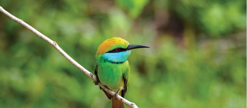 Sri Lanka Adventure - World Expeditions - Sri Lanka - Image 5