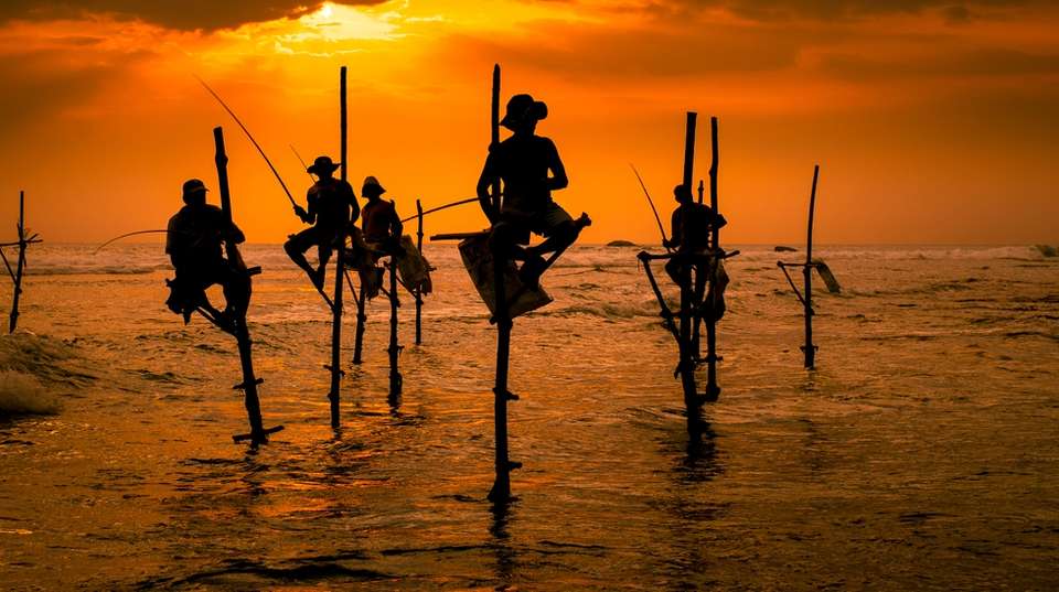 Sri Lanka Adventure Escape - Skyhaven Tours - Sri Lanka - Image 6