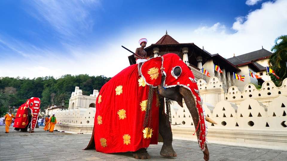 Sri Lanka Adventure Escape - Skyhaven Tours - Sri Lanka - Image 7