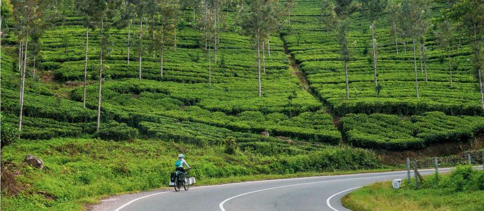 Sri Lanka by Bike - World Expeditions - Sri Lanka - Image 3