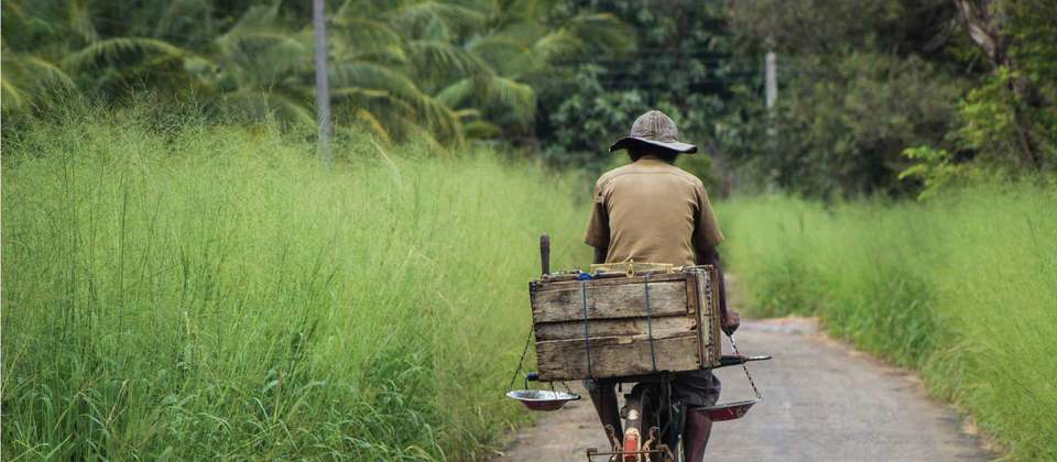 Sri Lanka by Bike - World Expeditions - Sri Lanka - Image 4