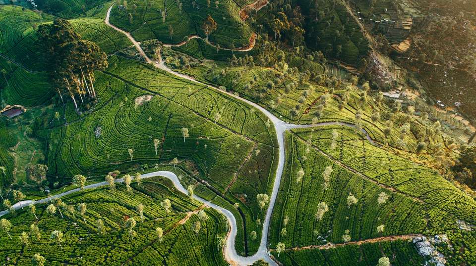 Sri Lanka Cultural Round Island - Skyhaven Tours - Sri Lanka