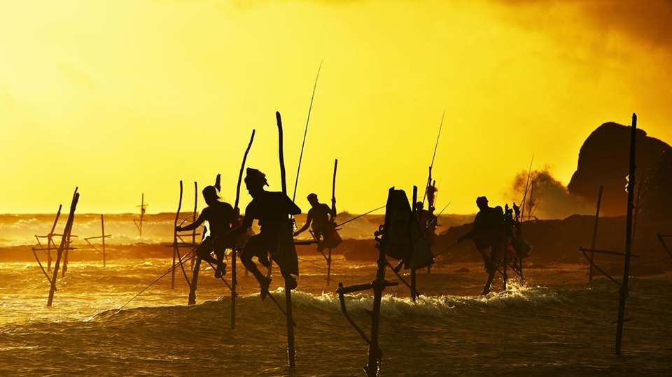 Sri Lanka Cultural Round Island - Skyhaven Tours - Sri Lanka