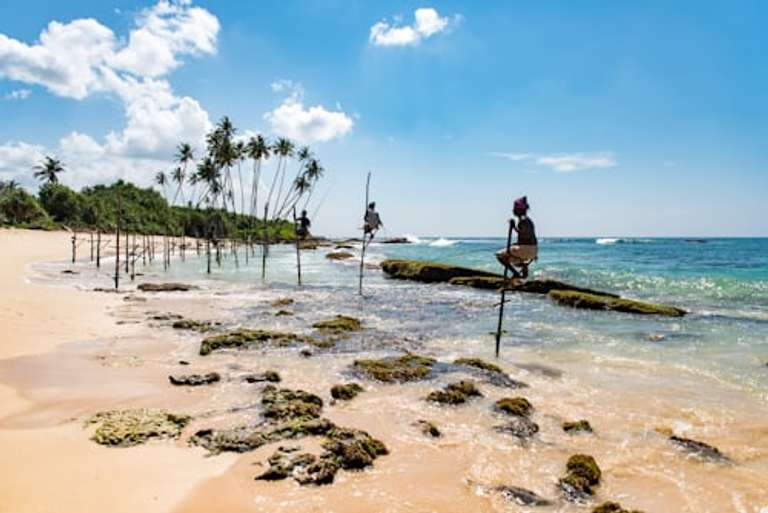 Sri Lanka Discover Luxury Small Group Tour trip - alternative tour available