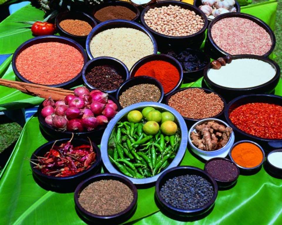 Sri Lanka Discover Luxury Small Group Tour - undefined - Image 9