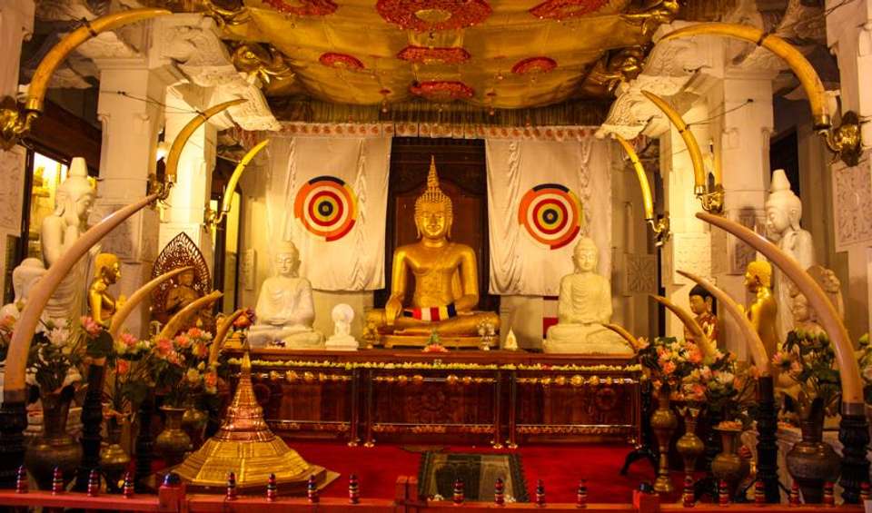 Sri Lanka Experience 5D/4N - Bamba - Sri Lanka