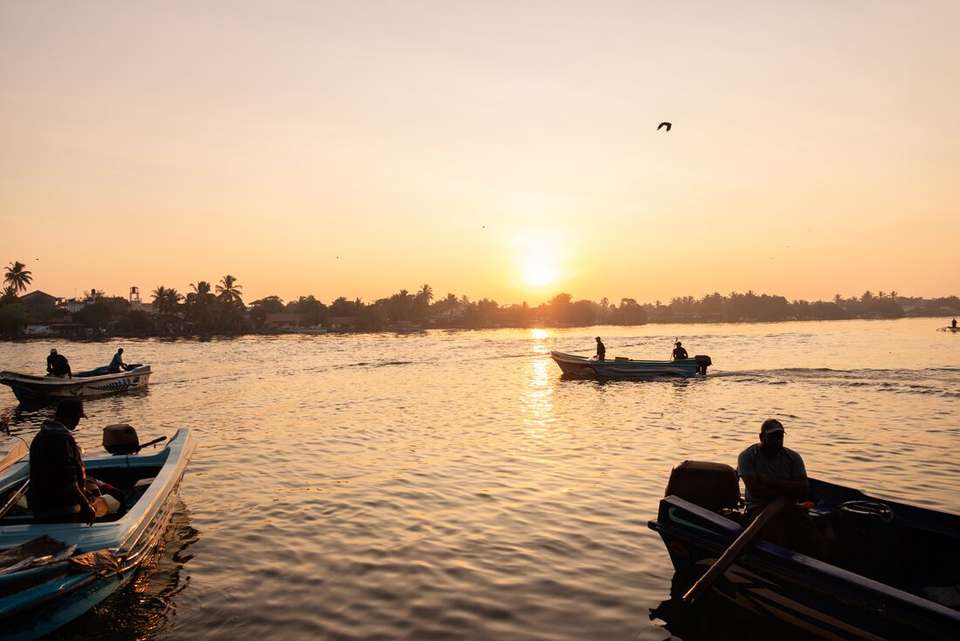 Sri Lanka Family Holiday - Intrepid Travel - Sri Lanka - Image 8