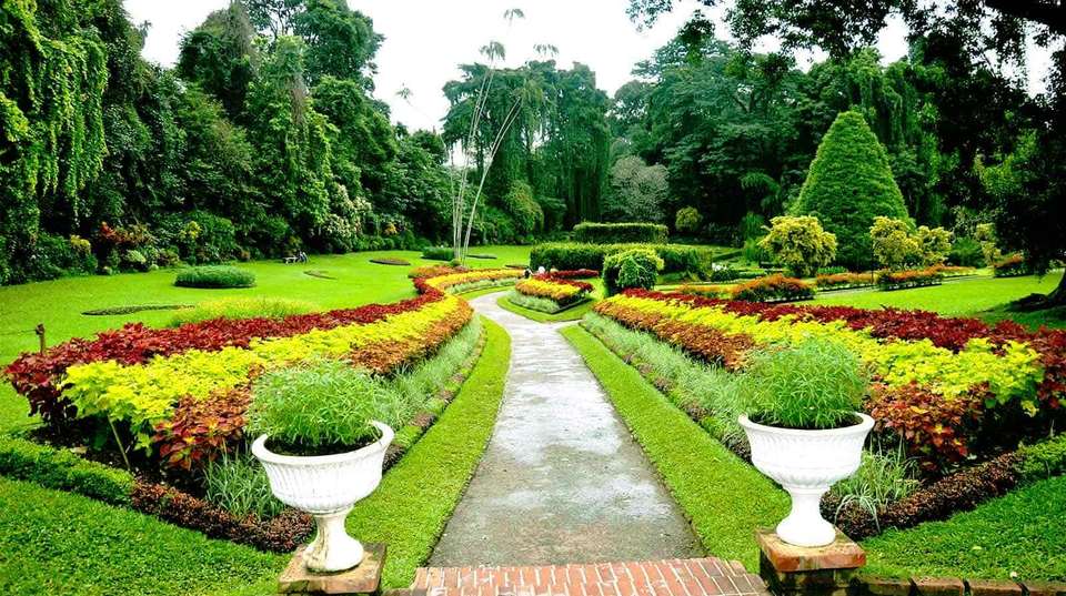 Sri Lanka Heritage Private Tour: 6 Days - undefined - Image 6