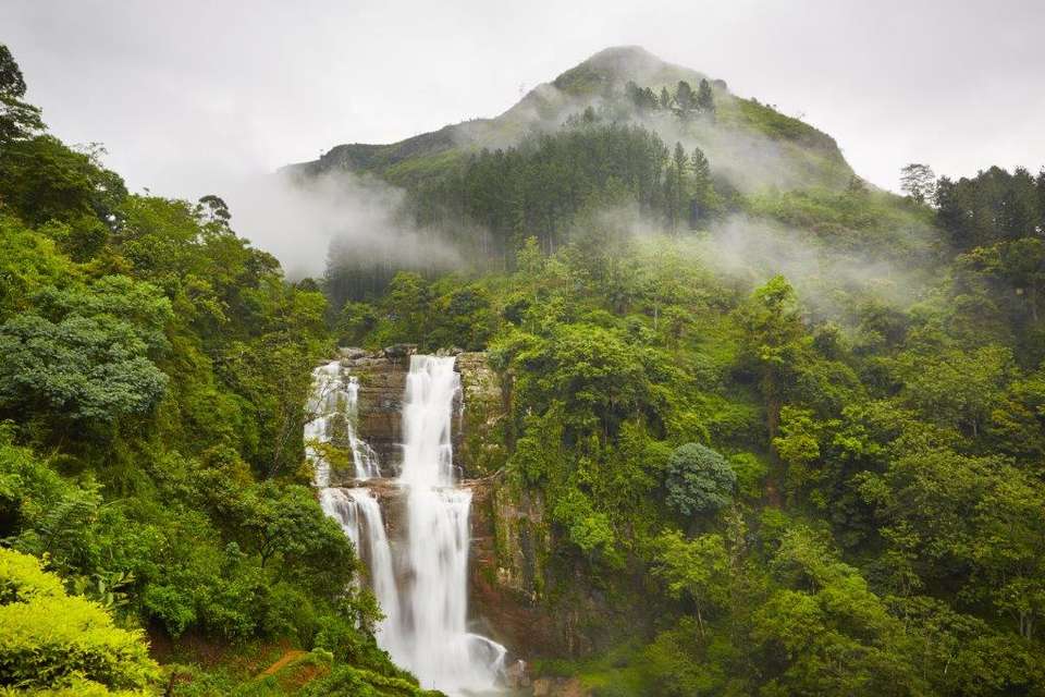 Sri Lanka Highlights - Destination Services - Sri Lanka - Image 2