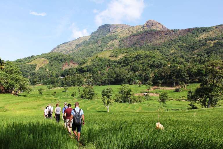 Sri Lanka: Hike, Bike & Kayak trip - alternative tour available