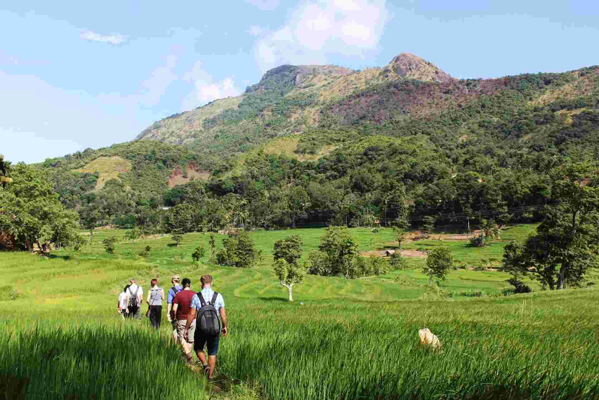 Sri Lanka: Hike, Bike & Kayak