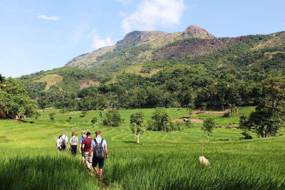 Sri Lanka: Hike, Bike & Kayak - Intrepid Travel - Sri Lanka - Image 1