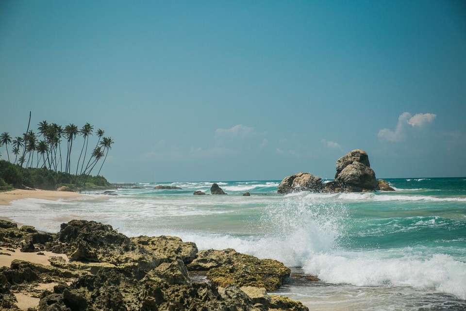 Sri Lanka: Hike, Bike & Kayak - Intrepid Travel - Sri Lanka - Image 4