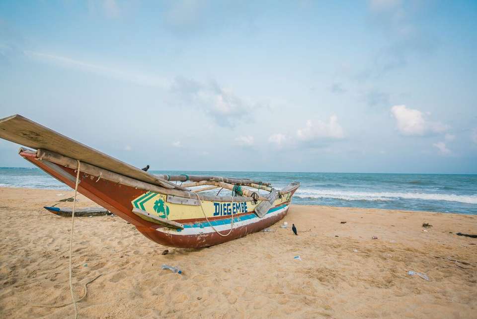 Sri Lanka: Hike, Bike & Kayak - Intrepid Travel - Sri Lanka - Image 7
