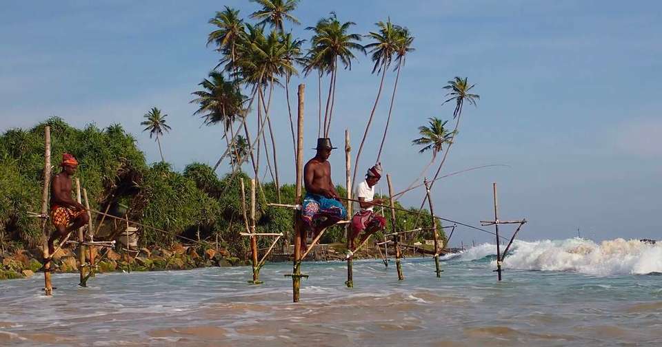 Sri Lanka in Depth + Maldive Dhoni Cruise - Explore - Sri Lanka - Image 13