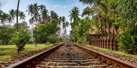 Farm And Plantation Visits Tour: Sri Lanka Land & Sea