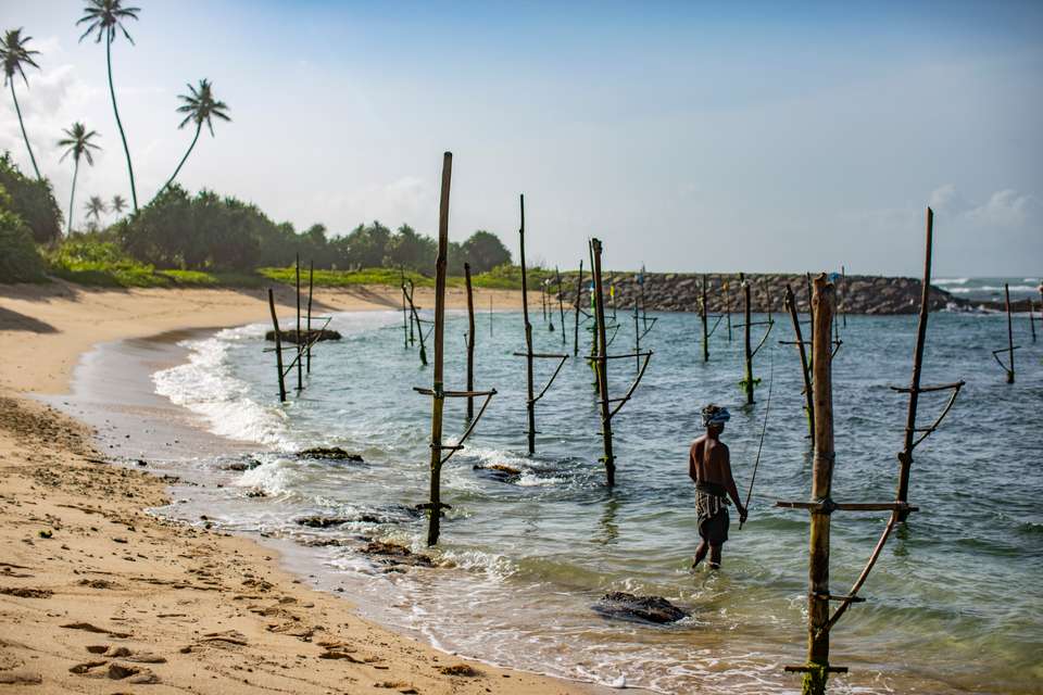 Sri Lanka Land & Sea - G Adventures - Sri Lanka - Image 13