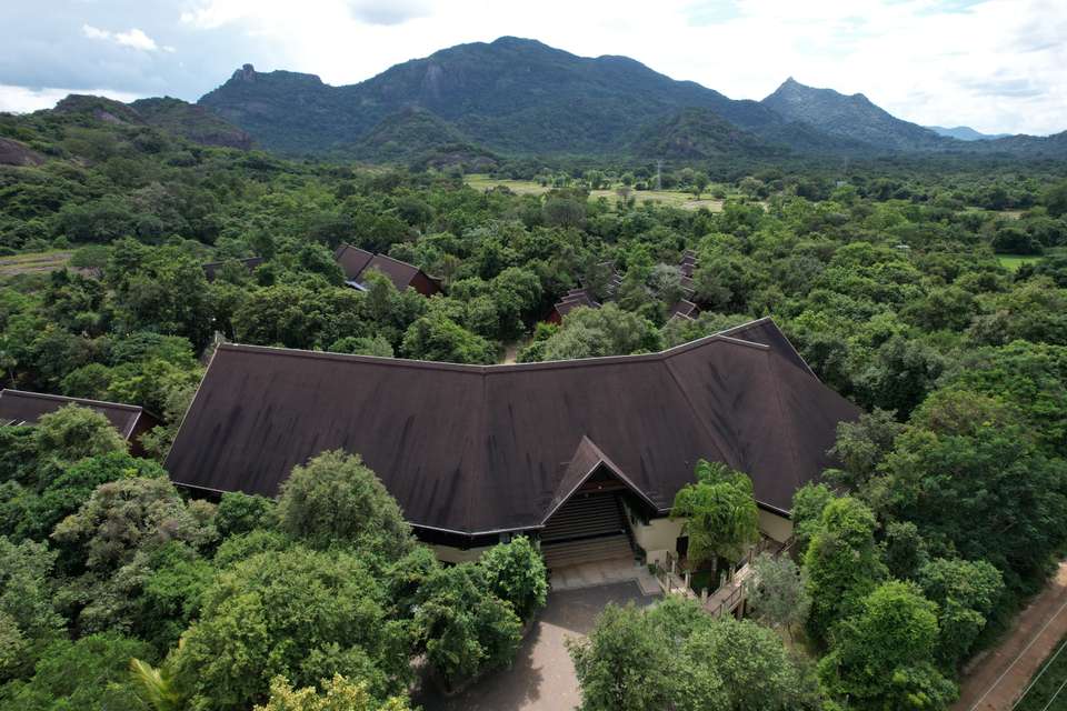 Image 10 of 14