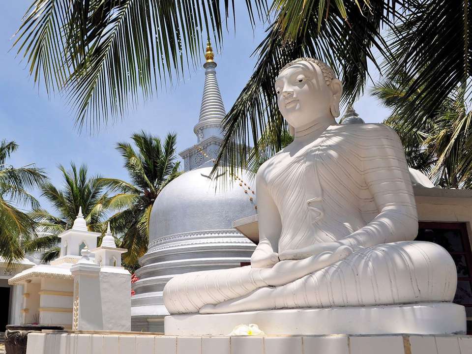 Sri Lanka Northeast Explorer - 12 days - On The Go Tours - Sri Lanka - Image 2