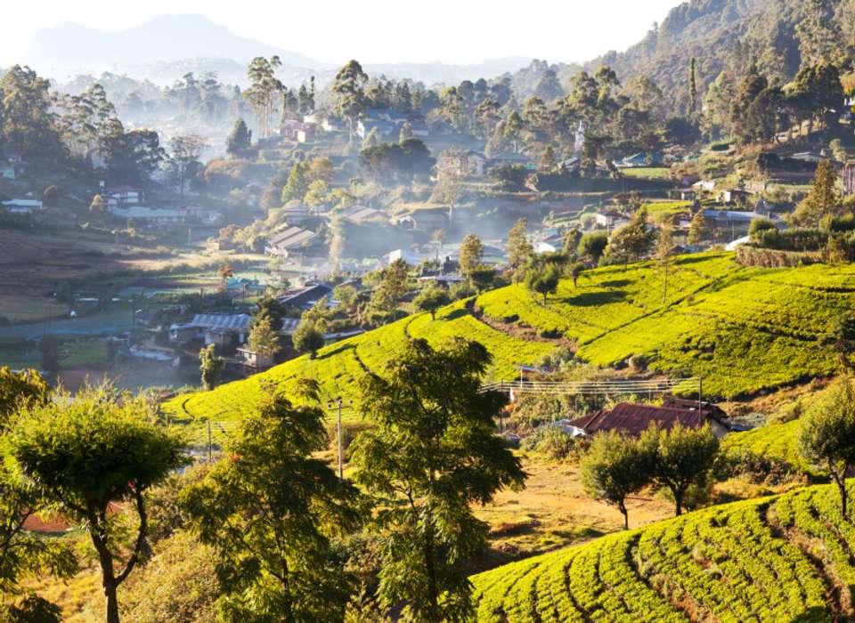 Sri Lanka on a Shoestring - undefined - Image 6